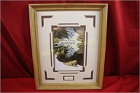 Bev Doolittle Framed Print "Season of the Eagle"