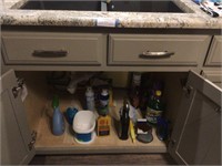 ALL Contents Under Kitchen Sink