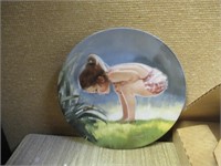Collector Plate (Small Wonder)