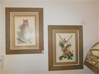 TWO FRAMED PICTURES OF OWLS