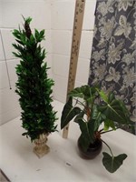 2 Plant Arrangements