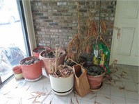 8 Planters and Potting Soil