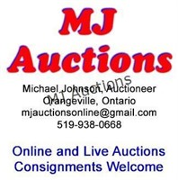 CONSIGNMENT AUCTION INFO -PLEASE READ