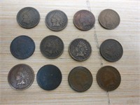 Lot of 12 Assorted Indian Head Pennies