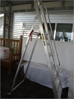 Industrial Ladder