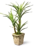 National Tree RAS-S39461LR-1 14 in. Yucca Plant