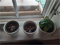 3 Flower Pots with Plants