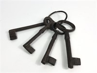 Cast Iron Decorative Skeleton Keys.