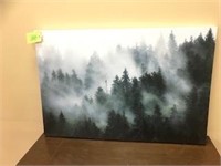 Misty Forest 24 x 36