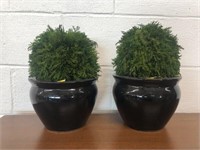 Pair of Pottery Planters with Fake Plants