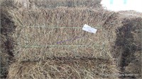 10 3rd Alfalfa Grass Mix