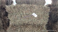 15 3rd Alfalfa Grass Mix
