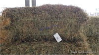 10 3rd Alfalfa Grass