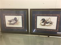 Two mallard ducks pictures