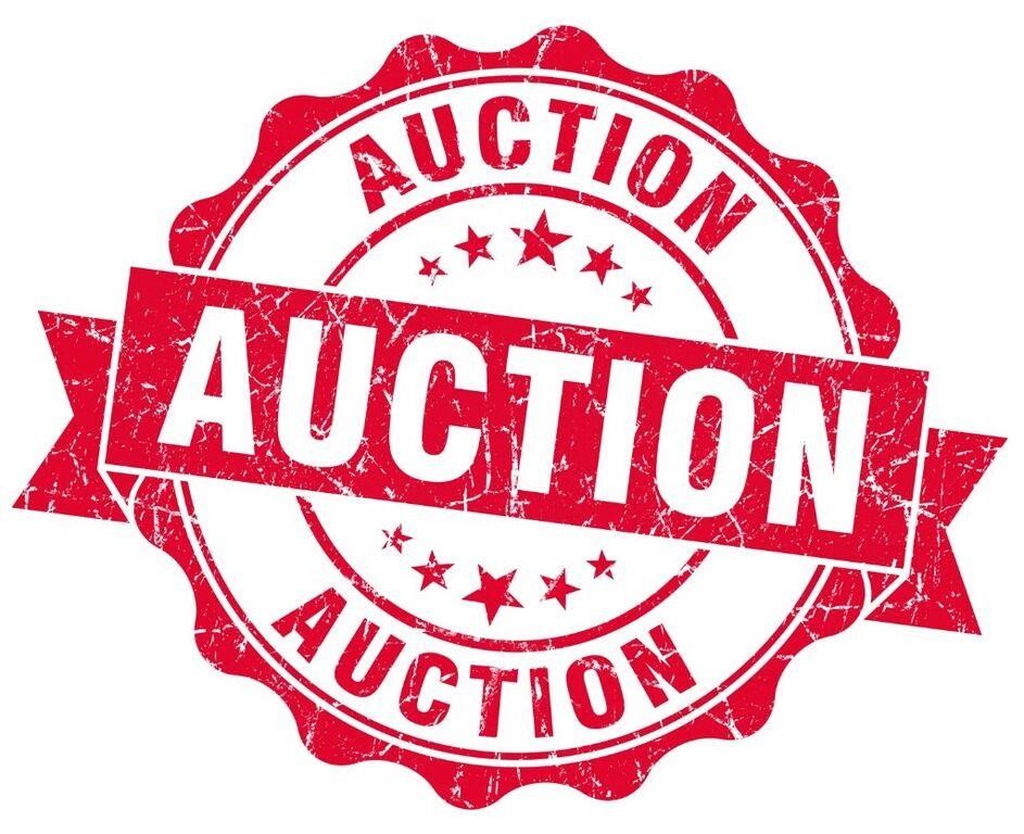 HIdden Treasures Auction