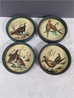 Vintage Bird Coasters Set of 4
