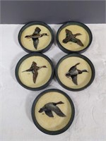 Vintage Bird Coasters Set of 5