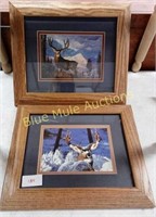 2-13×10 framed deer