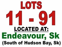 Lots 11 - 91 ~ LOCATED AT Endeavour, Sk