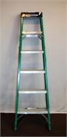 Werner 6' fiber glass ladder
