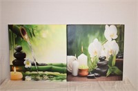 Pair of stretch canvas prints 19.75 X 19.75"
