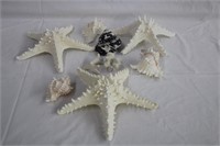 Starfish, seashells, coral
