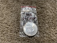 1 oz. Silver Canadian Coin