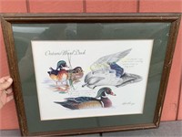 Bob Berry Ontario Wood Duck print-framed