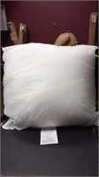 2-20”x20” Pillow Inserts