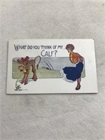 Cartoon postcard what do you think of my calf