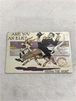 Cartoon postcard are you an elk riding the goat