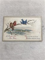 Postmarked 1909 new year postcard with birds on