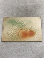 1905 embossed pineapple and orange postcard