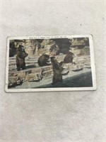 Postmark 1931 bear Pittston forest park St. Louis