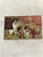 Dogs with ferrets patent gun scene postcard