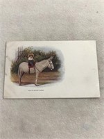 A rough rider baby riding donkey postcard