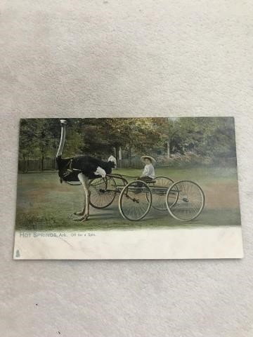 LARGE POSTCARD ESTATE AUCTION 6/23/2021