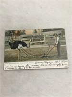 Postmark 1907 Hot Springs Arkansas farming at the