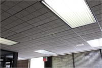 Commercial grade ceiling panels ALL Front office a