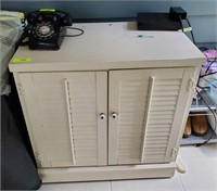 LOUVERED DOOR CABINET AND CONTENTS, CHEMICALS, BIR