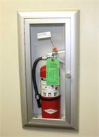 Fire extinguisher AND metal in wall storage cabine