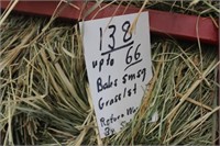 Hay-Sm Squares-1st Grass
