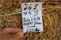 Straw-Lg Squares-Wheat