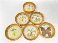 Set of 6 Mid-Century Real Butterfly Coasters