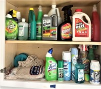Cabinet Contents - Cleaning Products