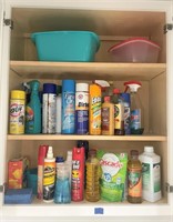 Cabinet Contents - Cleaning Products