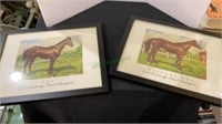 Two framed under glassed equestrian prints.