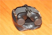 Binoculars in case