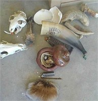 Group of Skulls, Horns & More