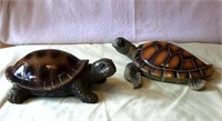 Turtle Decor